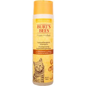 Burts Bees for Pets Hypoallergenic Cat Shampoo with Shea Butter and Honey, Gentle Kitten Shampoo for Indoor Cats with Dry or Sensitive Skin, Cat Bathing Supplies, 10 Fl Oz