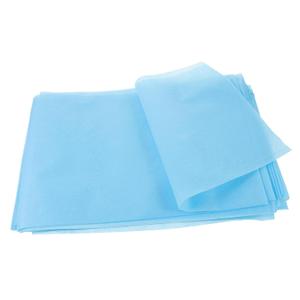 10pcs Disposable Spa Massage Salon Bed Sheets Nonwoven Cover Breathable Easy to Use (Blue)