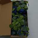 Anna's Whimsy 5.91FT Artificial Eucalyptus Greenery with Flowers, Fake Rose Gypsophila for Wedding Spring Home Party Decor (Blue, 1)