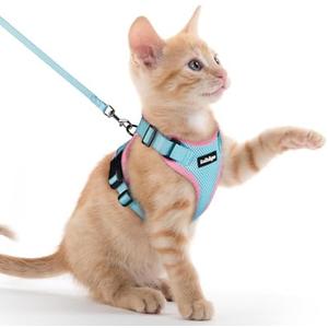 rabbitgoo Cat Harness and Leash for Walking, Escape Proof Soft Adjustable Vest Harnesses for Cats, Easy Control Breathable Reflective Strips Jacket, Light Blue&Pink, XXS