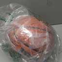 WILSON NBA Forge Indoor/Outdoor Basketball - Brown, Size 7-29.5"