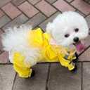 Waterproof Dog Raincoat,Full Coverage 4 Legs Dog Rain Jacket for Small Dogs,Pet Rain Coat with Hood,Reflective Strips&Leash Hole Outdoor Raincoat (X-Largefor Weight 11.1-14.6 lb, Yellow)