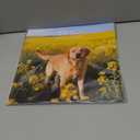 2 x 2026 Calendar, Wall Calendar 2026, Dogs 12 Month Wall Calendars (Jan - Dec 2026) 12" x 24" Opened, Hanging Monthly Calendar Thick Paper for Kids Family Adults Office Home
