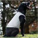 Terrain Dog Cooling Vest - Cooling Fabric Powered by Coolcore Technology, Large