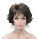 Aimole Short Curly Synthetic Wigs Full Capless Hair Women's Thick Wig for Everyday (8 Lt Chestnut Brown)