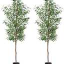Fake Olive Tree, 5FT 2Pack Tall Plants Olive Trees 60in Silk Plant with Trunk and Realistic 536 Leaves and 20 Fruits for Modern Office Home Decor Indoor