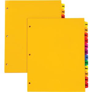 Oxford Plastic Monthly Dividers for 3 Ring Binders, 12 Multicolor Preprinted Tabs, Jan-Dec, Letter Size, 2 Pack (89608)