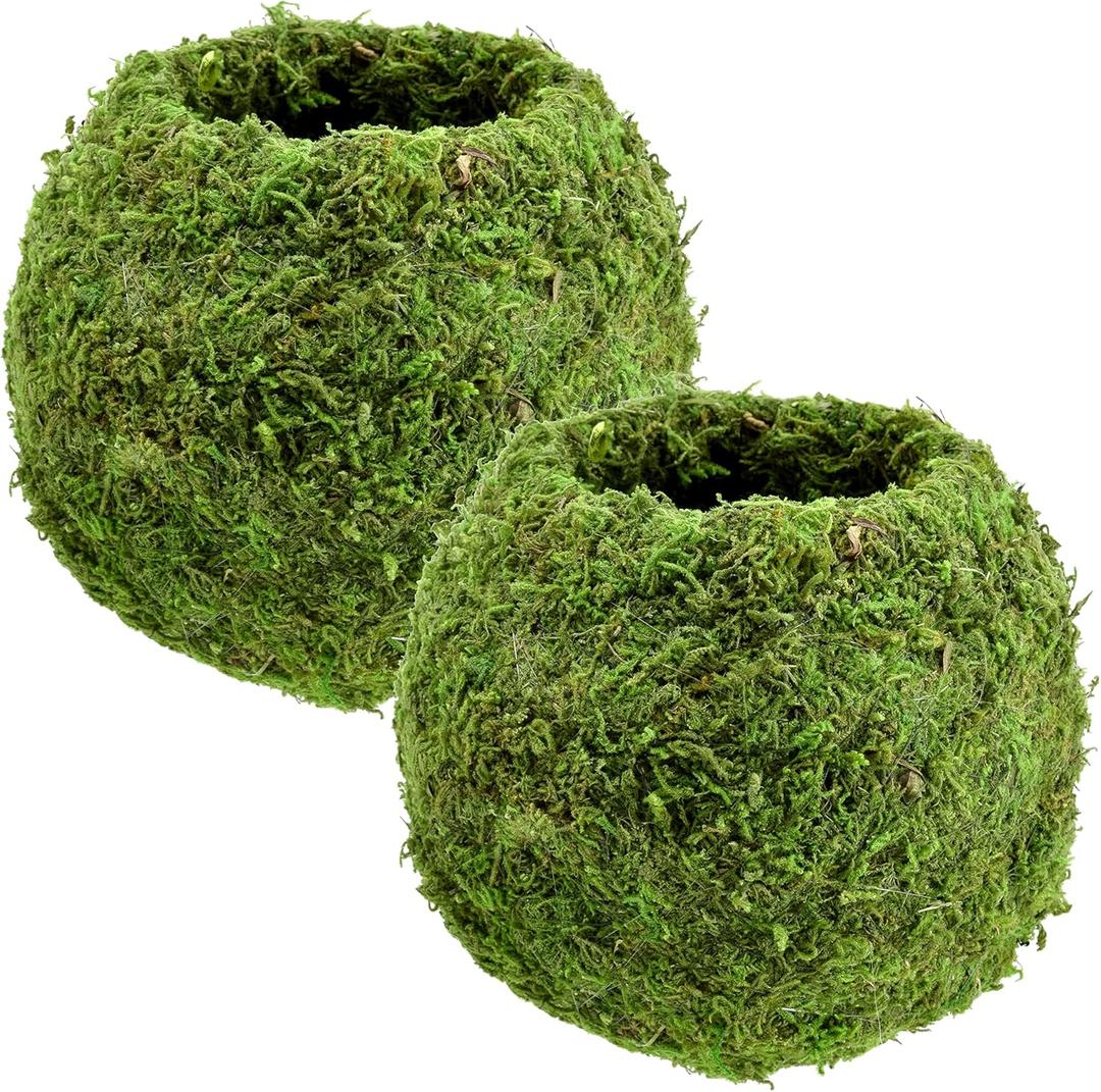 KO02 Kokedama-6.5 x 5.9, Set of 2, Green