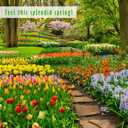 Spring Fragrance Oils Set of 14, MitFlor Premium Diffuser Essential Oils, Candle Making Scents, Aromatherapy Essential Oils Gift Set, Cherry Blossom, Garden Iris, Spring Bloom, 14x10ml