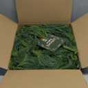 9ft Artificial Norfolk Pine Garlands, Real Touch Winter Pine Garland, Green Artificial Greenery Garland, Winter Decorations for Home for Table, Mantle, Wall