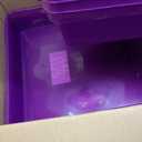 Storex Classroom Craft Project Box – Stacking Plastic Organizer Fits 12x12 Scrapbooking Paper, Purple, 5-Pack (63206U05C)