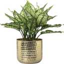 MyGift 6-Inch Shiny Brass Tone Metal Plant Pot with Hammered Texture, Cylindrical Indoor Succulent Planter - Handcrafted in India