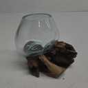 Small Hand-Blown Melted Glass Fish Bowl Vase Terrarium on Driftwood Base  Decorative Centerpiece Full or Empty