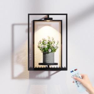 Starxing Wall Plant Shelf with Grow Lights, Remote Control Indoor Plant Holder Stand for Hanging Planters, Modern Framed Wall Decor for Living Room, Home M-1PK