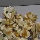 WILLBOND 36 Pieces Christmas Poinsettia Glitter Faux Flowers Christmas Artificial Flowers Tree Ornaments Topper Xmas Decorations(Gold)