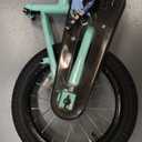 KEANO Zinnia 14 16 20 Inch Kids Bike for Girls Ages 3-10 Years, Girls' Bikes with Training Wheels, Streamers, Basket and Doll Seat, Children Bicycles (Green)