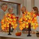 Fall Decor 2 Pack 24 Inch Prelit Fall Maple Tree with 48 LED Lights Battery Operated Timer Light Up Artificial Maple Acorn Tree for Fall Thanksgiving Tabletop Home Indoor Halloween Decor