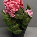 Briful Artificial Geranium Potted Plant 16 Tall, Realistic Silk Flowers with Vibrant Green Leaves, Pink White Geraniums Fake Flowers for Outdoors Home Decor, Wedding Farmhouse Office Tables Decor