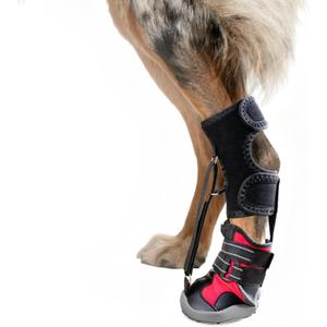 StrapOn Drop Foot Brace (No Knuckling Boot Brace) For Dogs— Dog Knee Pads, Corrective Dog Shoes to Safely Lift Toes for Foot Issues, Arthritis, And Improving Walking Gait In Dogs, Size L