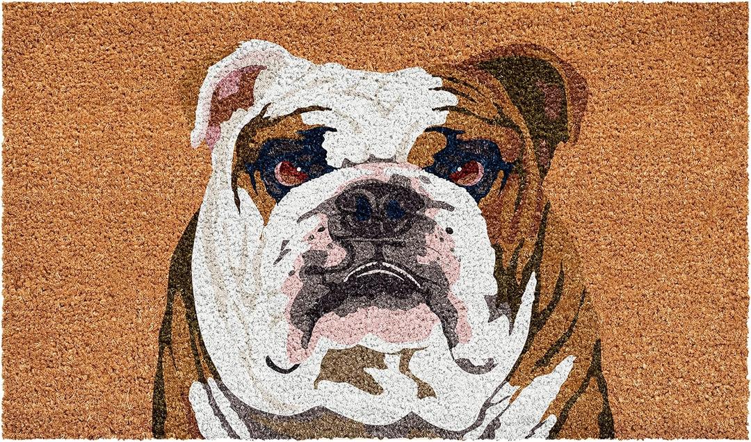 Calloway Mills 109802436 English Bull Dog Doormat 24" x 36" (3' x 2' (Rectangular))