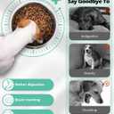 RooXchowla Slow Feeder Dog Bowls, 6cups Large Capacity, Set of 2, Including Two Bowls and one Slow Feeder Insert, Suitable for Large and Medium-Sized Dogs