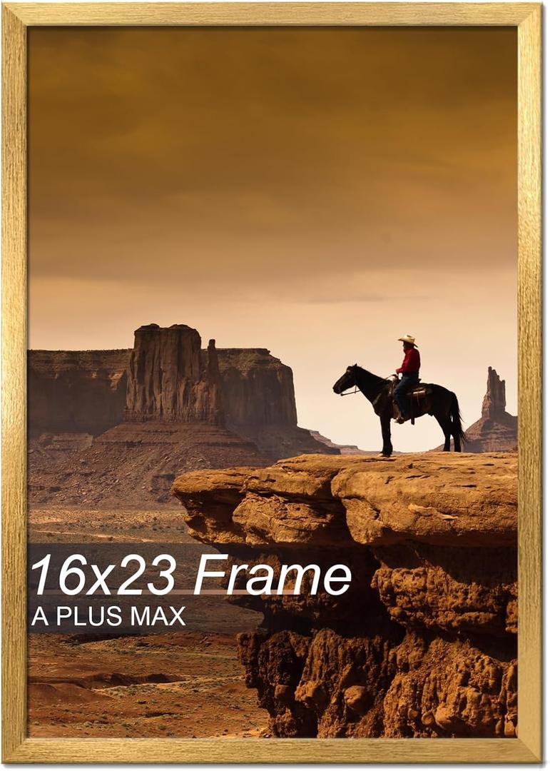 A PLUS MAX 16x23 Picture Frame Gold Light Weight Wall Mount