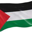 Evergreen Palestine Flag 3x5 flag Outdoor Double Sided, Nation Flags for Outside with Grommets, Palestinian Flag 3-Ply Banners for Garden Patio, Indoor Wall Decor for Room, Works with Standard Estate Flag Poles