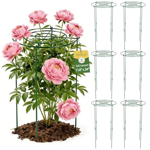 DSTANA 6 Pack Peony Cages and Supports, 12" x 24" Tall Peonies Support Cage
