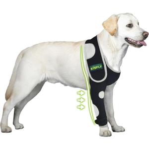 Dog Shoulder Brace Prevents Elbow Hygroma, Elbow Calluses, Arthritis, Dysplasia and Pressure Sores, with Reflective Material Makes Night Activities Safer- Right Leg XS
