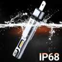 SEALIGHT H1 Fog Bulbs, 50,000LM Super Brighterness 1:1 Mini Size, 6500K Cool White Fog Lights, 3 Minutes Installation, Pack of 2