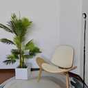Hans Wegner Style Three- Legged Shell Chair Ash Plywood White Faux Leather Accent Chair Living Room Furniture Mid-Century Modern Shell Chair (Wood Color-White)