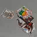 Ceenna 20 Pcs Funny Fridge Magnets Reusable Cute Animals and Words Fun Anime Refrigerator Magnets for Office Work Home Car Locker Cabinet Gifts Decorations(Stylish Style)