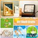 Mixed Sea Shells, 100+ Pcs Beach Seashells Starfish, Various Sizes Ocean Seashells for Fish Tank Vase Fillers, Beach Theme Party Wedding Decor, Candle Making, DIY Crafts