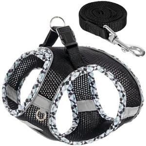 Dog Harness and Leash Set, No Pull Pet Harness for Small Dogs Easy Walking,Soft Breathable Small Dog Harness,Adjustable Reflective Step in Vest Harness for Puppy,Kitten, Cats (XS, Black) Dog Harness and Leash Set, No Pull Pet Harness for Small Dogs Easy Walking,Soft Breathable Small Dog Harness,Adjustable Reflective Step in Vest Harness for Puppy,Kitten, Cats (XS, Black)