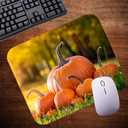 2 x Fall Season Mouse Pad Mat Mousepad for Desk Computer Laptop PC Gaming Home or Office Gift (Pumpkins MP85)