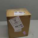 Amazon Basics 5 Cup Drip Coffee Maker with Glass Coffee Pot (0.8 Qt), Auto Shut-off, Auto Pause, Removable Filter Basket, Matte Black