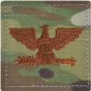 Air Force Colonel Rank OCP with Hook and Loop
