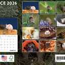 Mouse Calendar 2026 Mice Monthly Wall Calender 12 Month | American Made In The USA