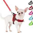 SlowTon No Pull Small Dog Harness and Leash Set, Puppy Soft Vest Harness Neck & Chest Adjustable, Reflective Lightweight Harness & Anti-Twist Pet Lead Combo for Small Dogs (R-Front Clip, S)