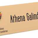 Exact Vellum Bristol, 8.5" x 11", 67 lb/147 GSM, Tan, 250 Sheets (82381)