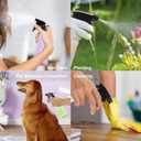 2 x Spray Bottles 12oz/350ml Empty Spray Bottles Refillable Mister Bottle with Multicolor for Cleaning, Plants, Hair, Cooking (Clear + Champagne)