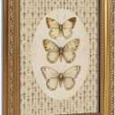 Vintage Gold Framed Wall Art for Living Room Retro Floral Butterfly Canvas Prints Home Decor Painting Picture Bedroom Wall Decor Gifts for Friends or Family 12x16in