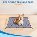 Fostanfly Washable Pee Pads for Dogs, 2 Pack 28''x34'' Large Ultra-Absorbent and Leak-Proof Non-Slip Reusable Potty Training Pads for Dogs, Puppy, Potty Buddy and Cats of Add 8 Lanyards