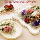 10 Pack Dried Flowers for Vase Various Mini Bouquet Dried Small Wildflowers Natural Real Flowers Bulk for Crafts DIY Wedding Decor (10, Classic Color1)