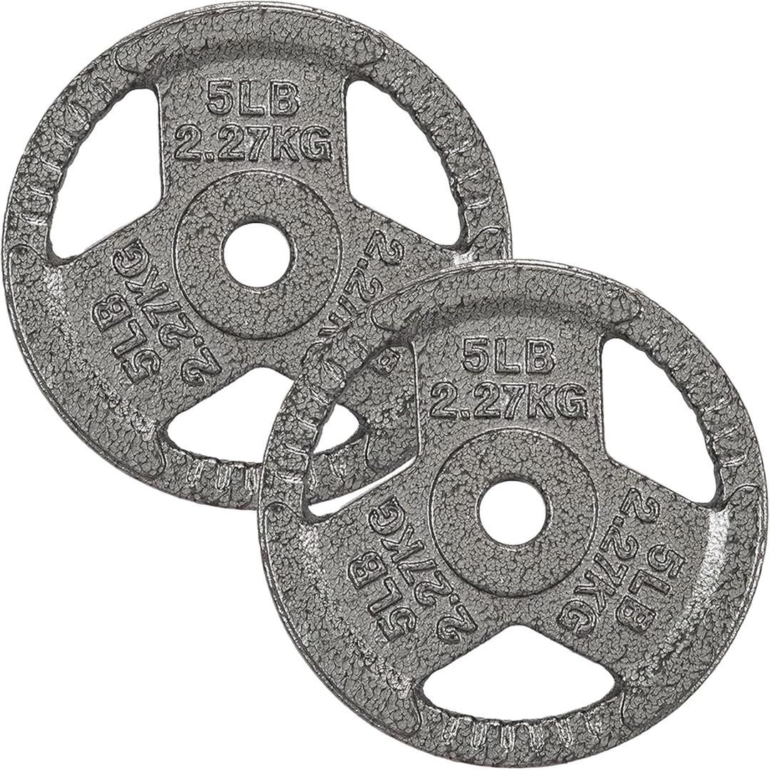 Fitvids Cast Iron 1-Inch Standard Weight Plate for Strength Training & Weightlifting, 5 LB Pair, Gray