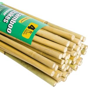 Jollybower 1/2" D 4 Feet Bamboo Stakes 50 Pack, Thicker Heavy-Duty Plant Stakes, Natural Garden Stakes for Bean, Tomato, Bean, Flowers,Trees Potted and Climbing Plant Support