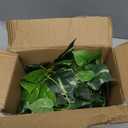 Fake English Ivy Plants in Pots Set of 2 Realistic Artificial Ivy Greenery for Home Decor, Tabletop, Office, Shelf, Balcony, Lifelike Faux Hanging Vines, No Maintenance Required - White and Green