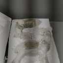 Newman House Studio Christmas Reindeers Decorations Deer Figurines - Christmas Decor Indoor Xmas Deer Statues 15.25H inch Set of 2 Cream/Gold Collectible Table Holiday Farmhouse Decor