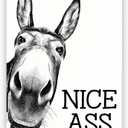 Black and White Bathroom Wall Art Decor Nice Ass,Donkey in Bathroom Canvas Posters,Interest Animals Wall Decor Vintage Farmhouse Home Humor Print Paint 16x24inch Unframed