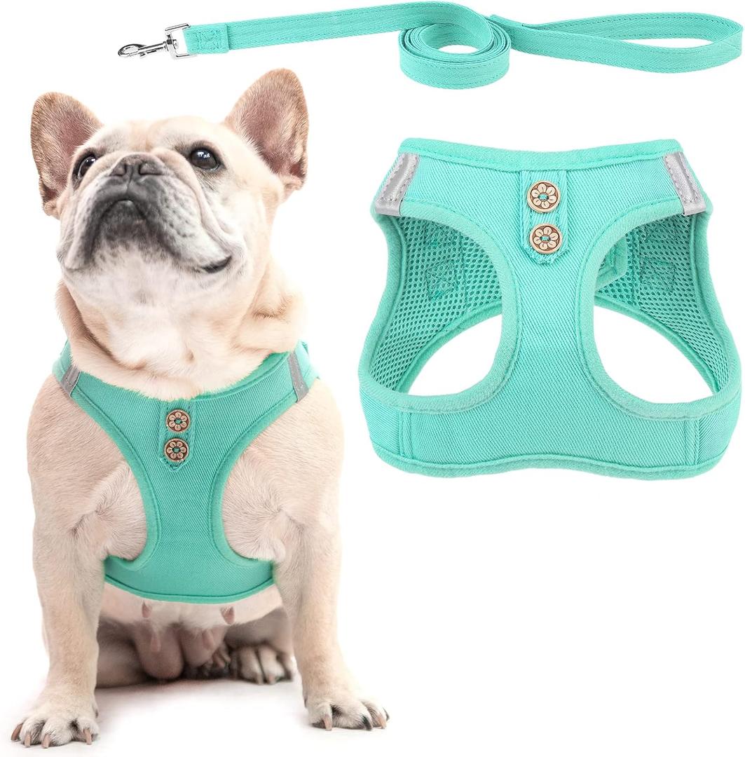 PUPTECK Dog Harness and Leash Set for Small Medium Dogs No Pull Step-in Soft Mesh Puppy Cat Vest Harnesses Reflective at Night, Denim Green M (M(CHEST 16"-18", 11-18 lbs), #2 Turquoise(Denim))
